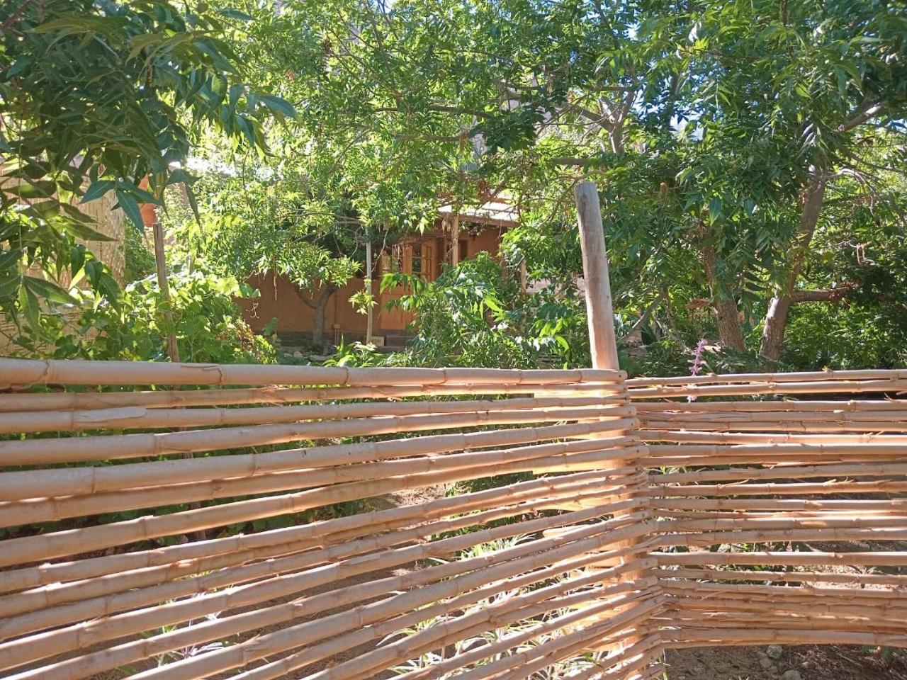Puma Cottage Horcón Exterior foto